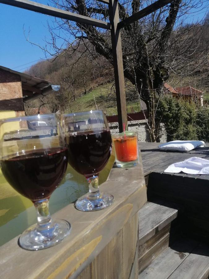 Casa De Vacanta Silvia Vărmaga 외부 사진