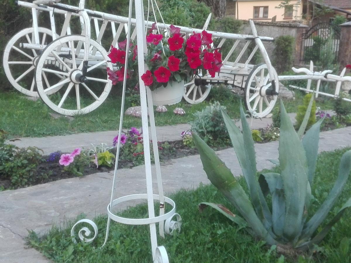 Casa De Vacanta Silvia Vărmaga 외부 사진