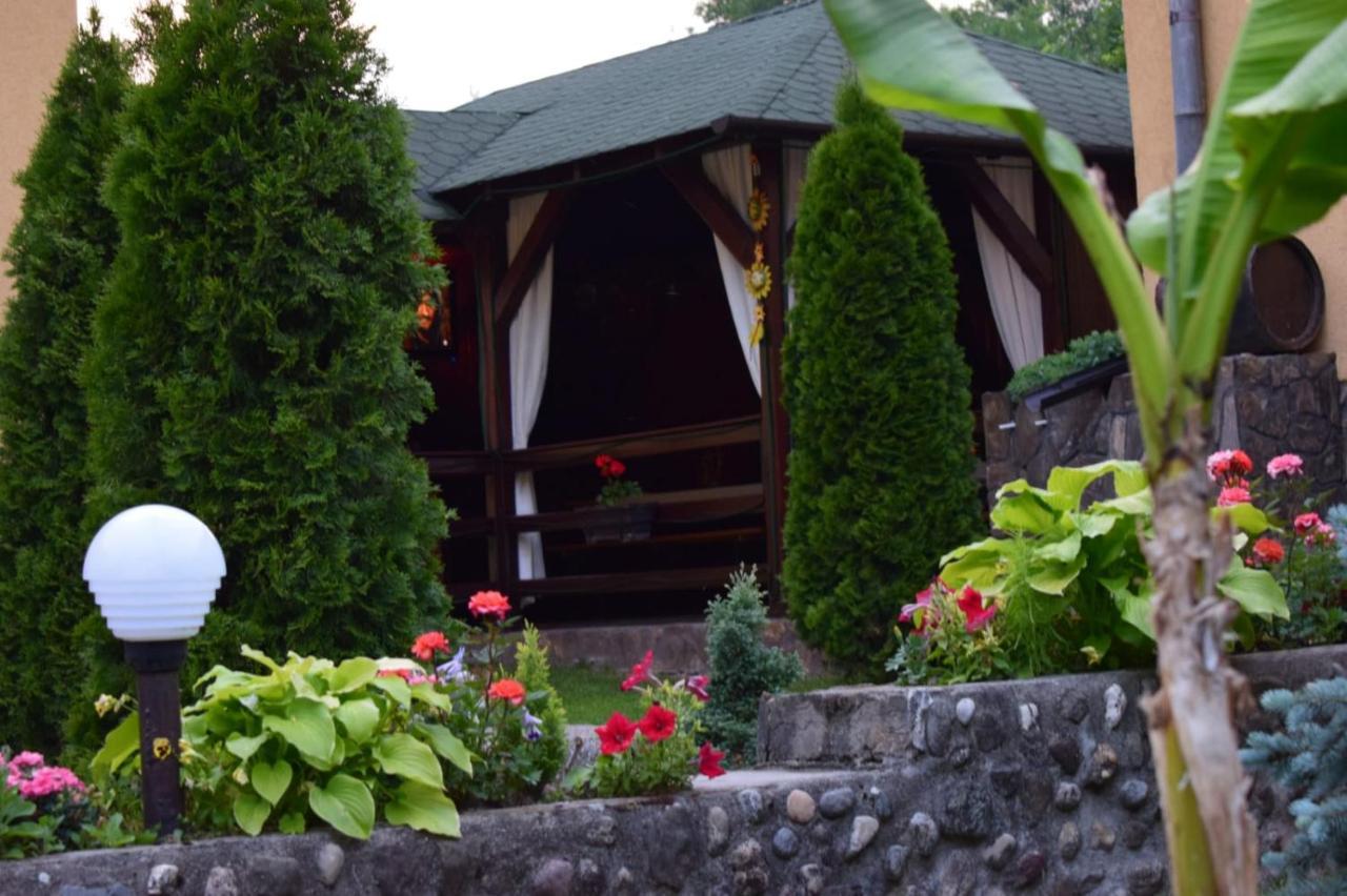Casa De Vacanta Silvia Vărmaga 외부 사진