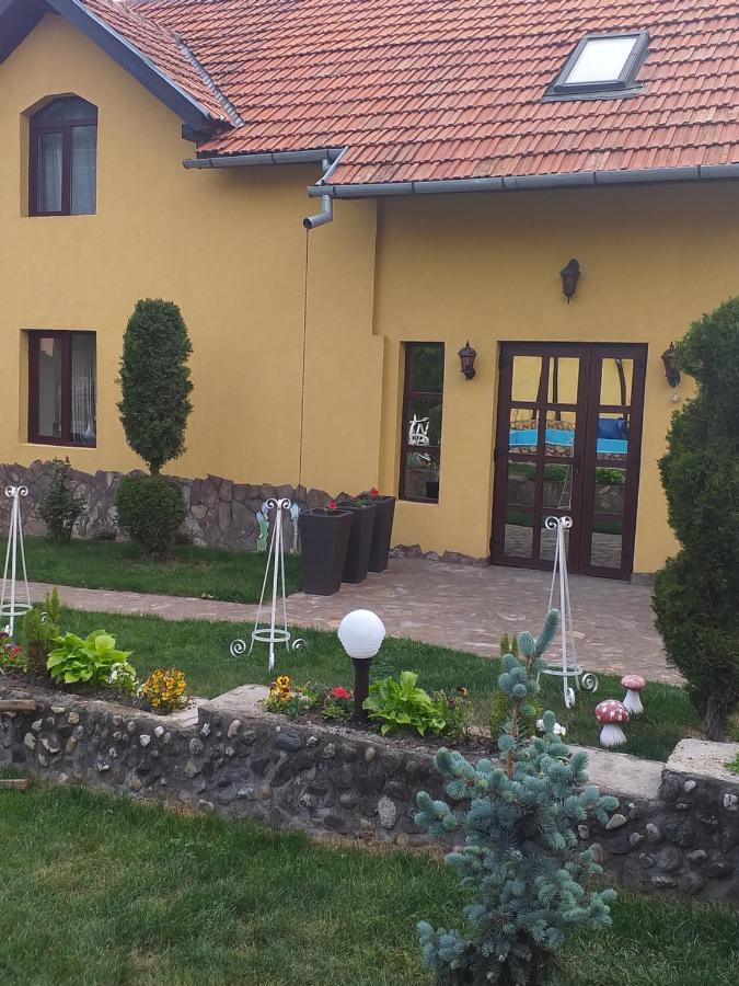 Casa De Vacanta Silvia Vărmaga 외부 사진